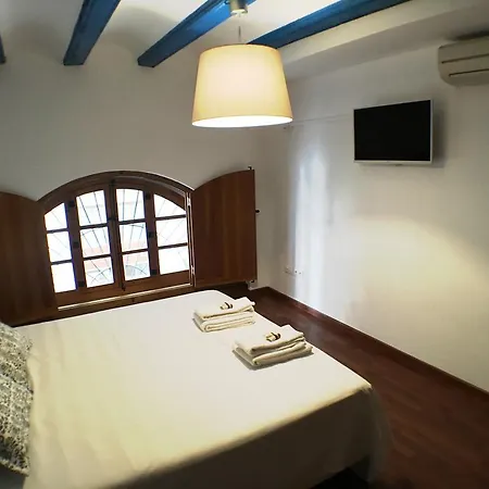 Living Peydro 公寓 *